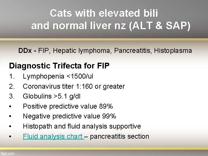 Cats with elevated bili and normal liver nz (ALT & SAP) DDx - FIP,