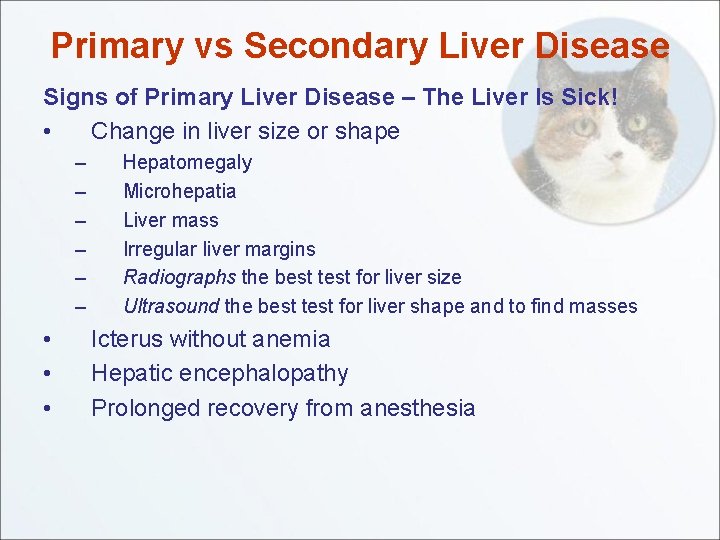 Primary vs Secondary Liver Disease Signs of Primary Liver Disease – The Liver Is