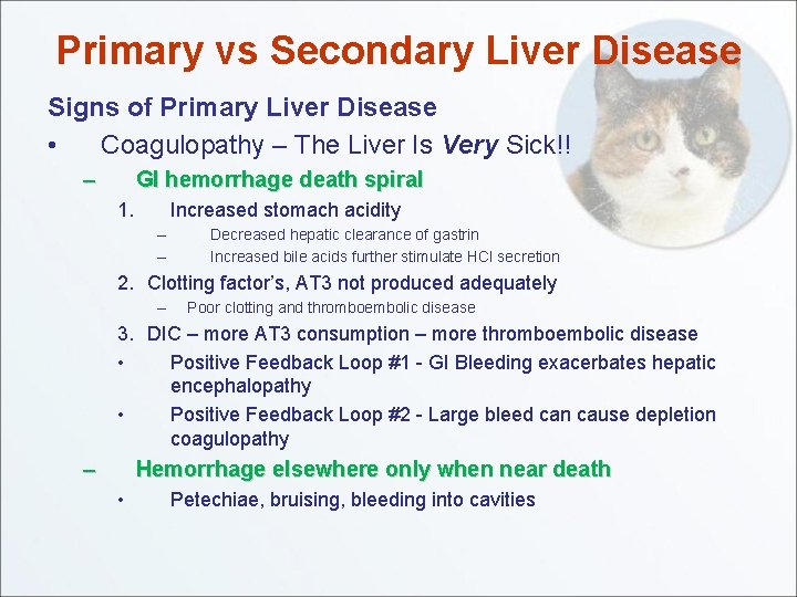 Primary vs Secondary Liver Disease Signs of Primary Liver Disease • Coagulopathy – The