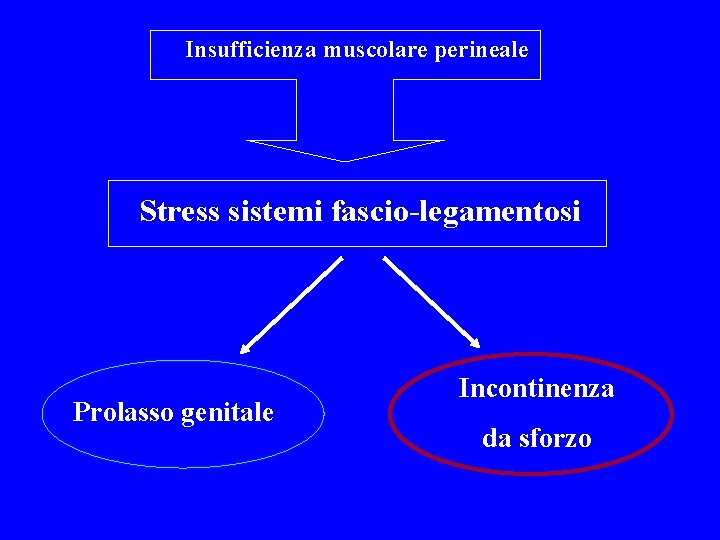 Insufficienza muscolare perineale Stress sistemi fascio-legamentosi Prolasso genitale Incontinenza da sforzo 