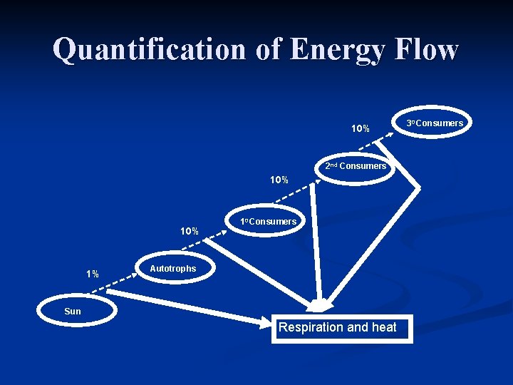 Quantification of Energy Flow 10% 2 nd Consumers 10% 1% 10 Consumers Autotrophs Sun
