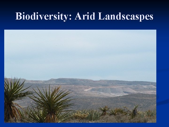 Biodiversity: Arid Landscaspes 