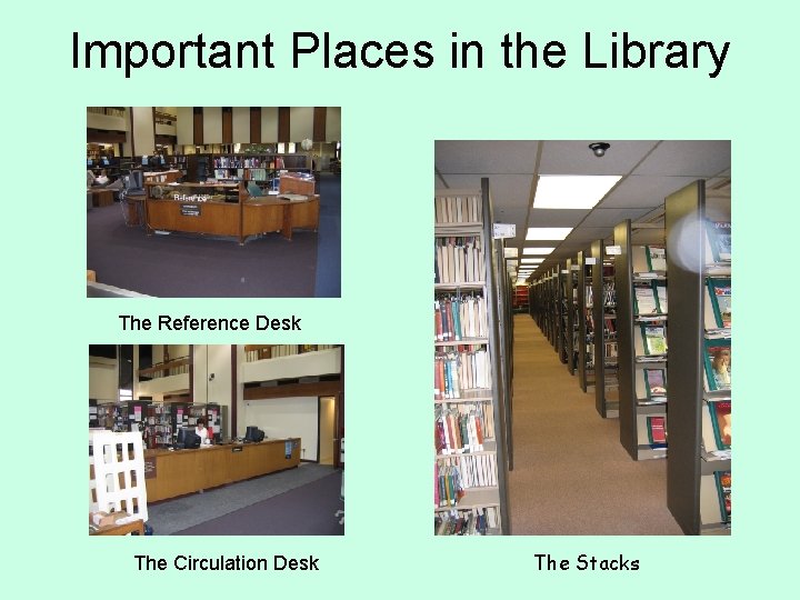 Important Places in the Library The Reference Desk The Circulation Desk The Stacks 