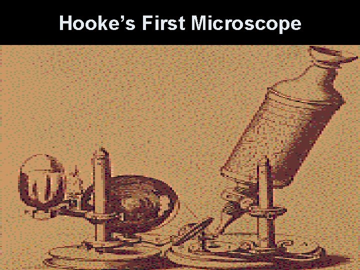 Hooke’s First Microscope 