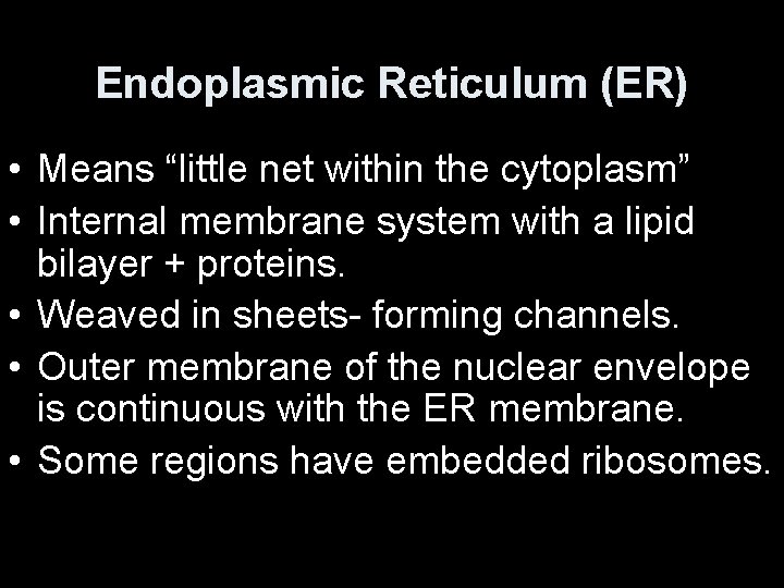 Endoplasmic Reticulum (ER) • Means “little net within the cytoplasm” • Internal membrane system