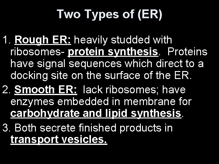 Two Types of (ER) 1. Rough ER: heavily studded with ribosomes- protein synthesis. Proteins