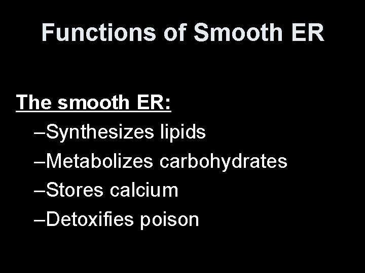 Functions of Smooth ER The smooth ER: –Synthesizes lipids –Metabolizes carbohydrates –Stores calcium –Detoxifies
