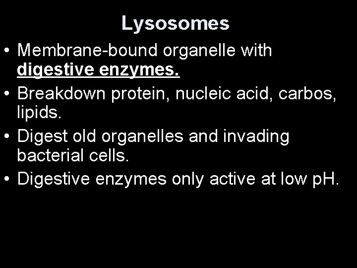 Lysosomes • Membrane-bound organelle with digestive enzymes. • Breakdown protein, nucleic acid, carbos, lipids.