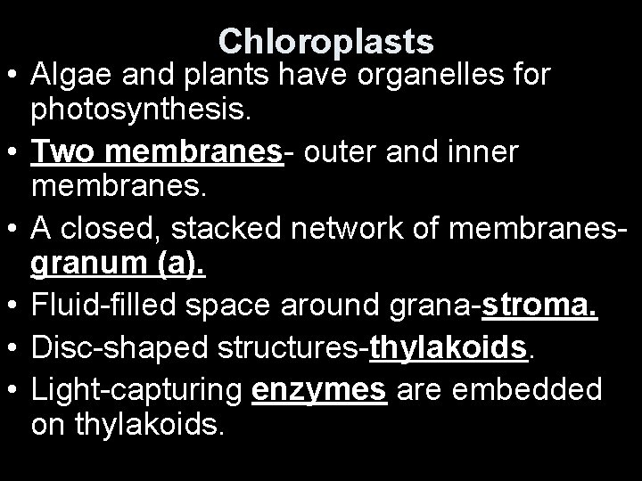 Chloroplasts • Algae and plants have organelles for photosynthesis. • Two membranes- outer and