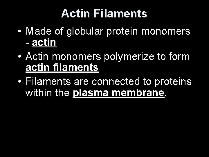 Actin Filaments • Made of globular protein monomers - actin • Actin monomers polymerize