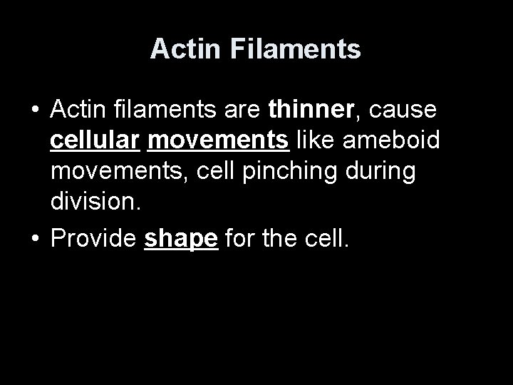 Actin Filaments • Actin filaments are thinner, cause cellular movements like ameboid movements, cell