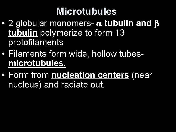 Microtubules • 2 globular monomers- tubulin and tubulin polymerize to form 13 protofilaments •