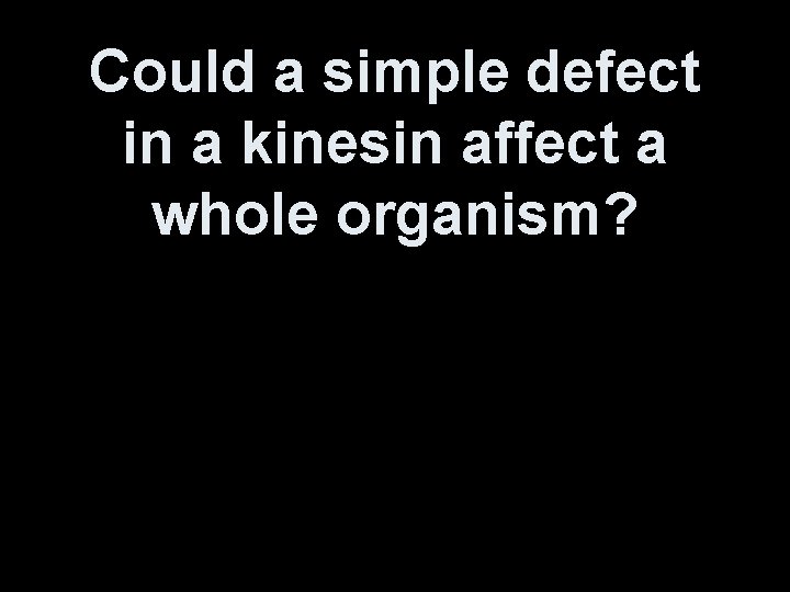 Could a simple defect in a kinesin affect a whole organism? 