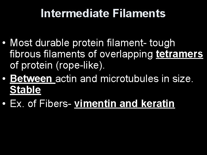 Intermediate Filaments • Most durable protein filament- tough fibrous filaments of overlapping tetramers of