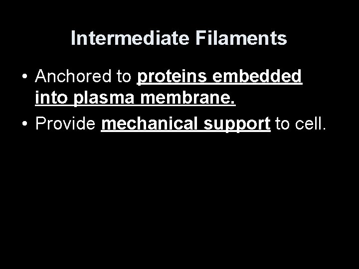 Intermediate Filaments • Anchored to proteins embedded into plasma membrane. • Provide mechanical support