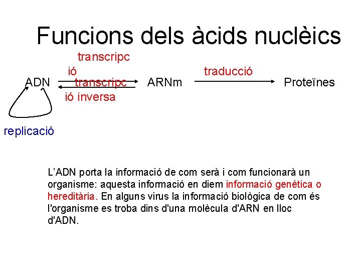 Funcions dels àcids nuclèics transcripc ADN ió transcripc ió inversa ARNm traducció Proteïnes replicació