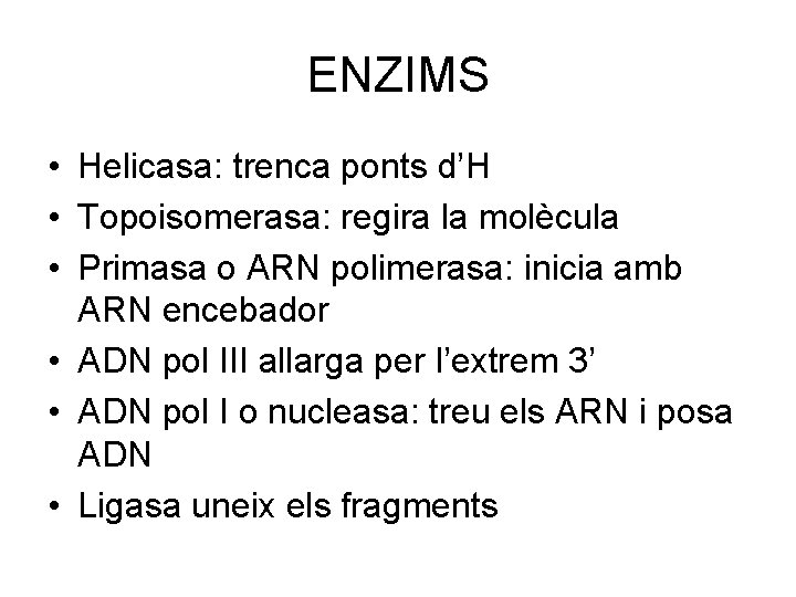 ENZIMS • Helicasa: trenca ponts d’H • Topoisomerasa: regira la molècula • Primasa o