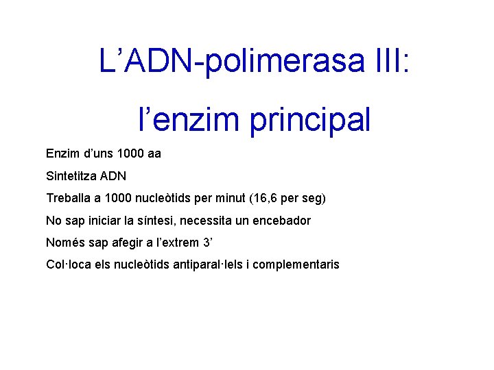 L’ADN-polimerasa III: l’enzim principal Enzim d’uns 1000 aa Sintetitza ADN Treballa a 1000 nucleòtids