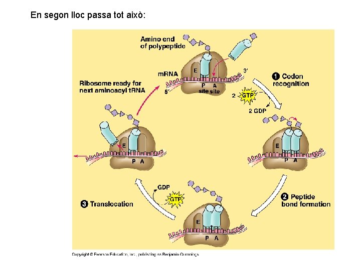 En segon lloc passa tot això: 