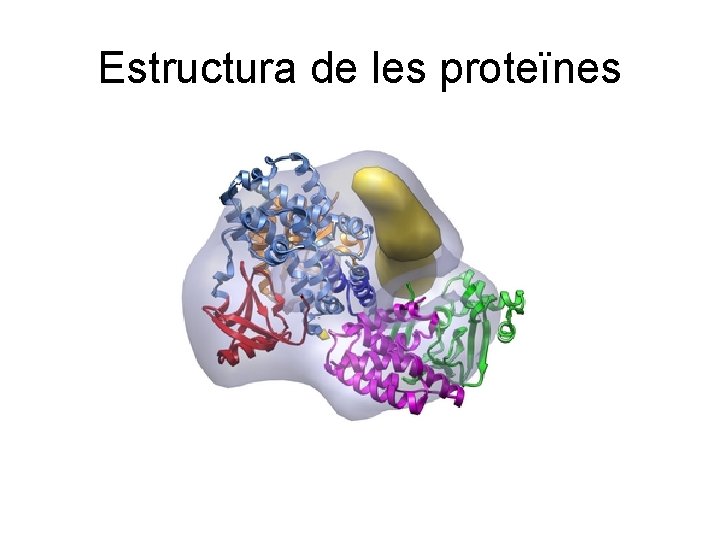 Estructura de les proteïnes 