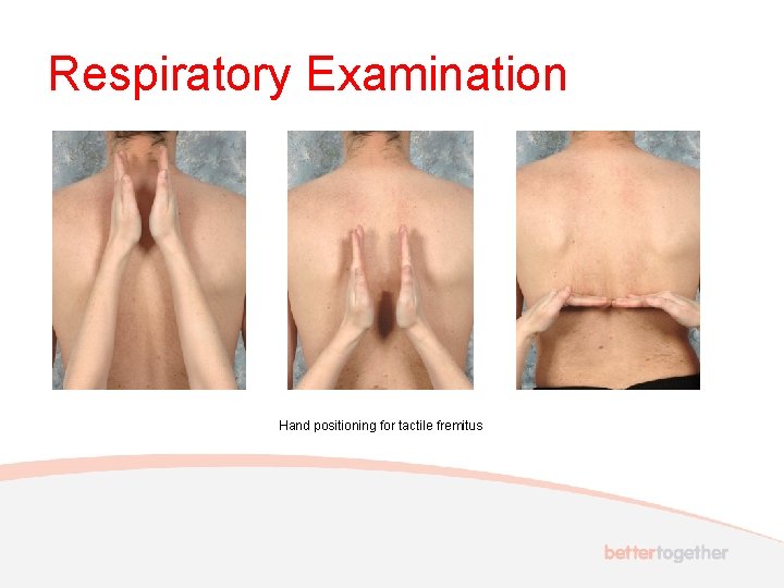 Respiratory Examination Hand positioning for tactile fremitus 