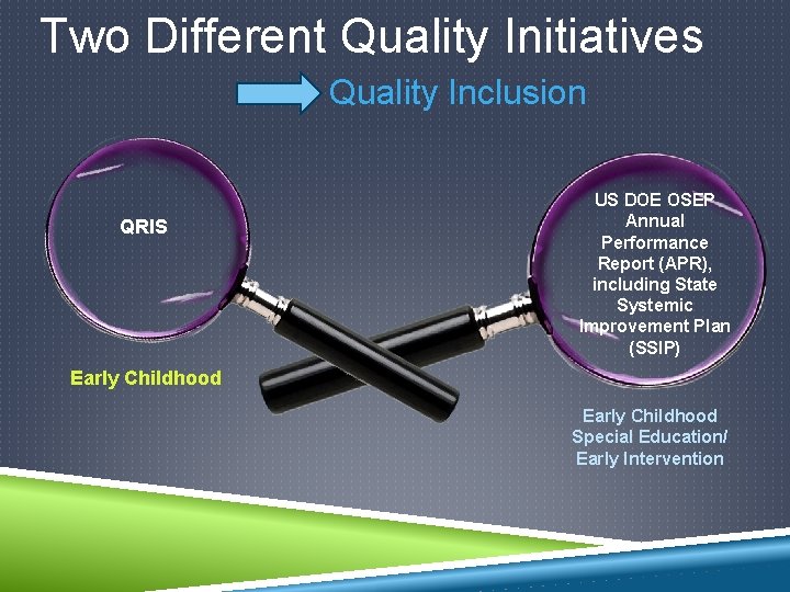 Two Different Quality Initiatives Quality Inclusion QRIS US DOE OSEP Annual Performance Report (APR),