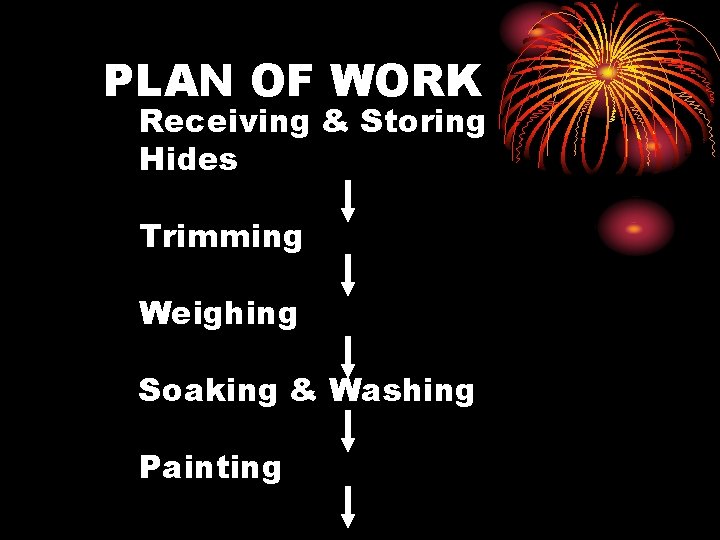 PLAN OF WORK Receiving & Storing Hides Trimming Weighing Soaking & Washing Painting 