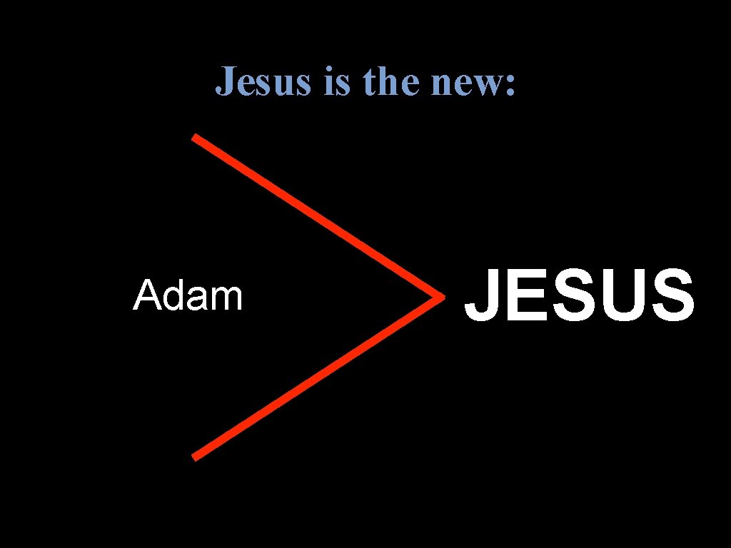 Jesus is the new: Adam JESUS 