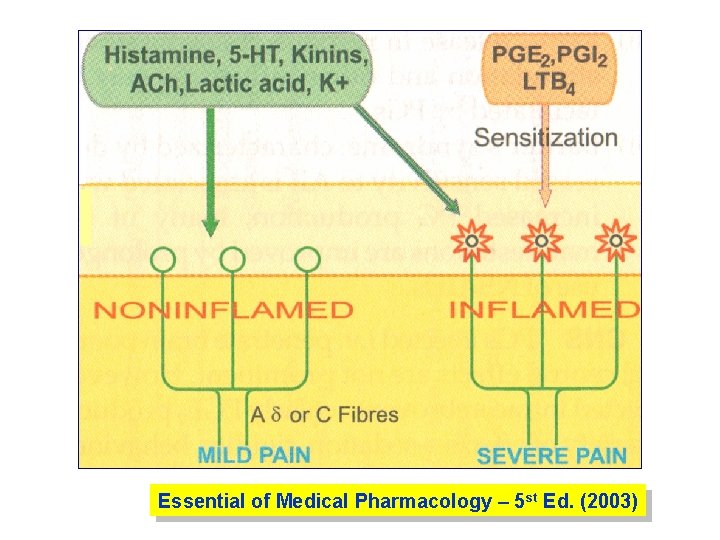 Essential of Medical Pharmacology – 5 st Ed. (2003) 