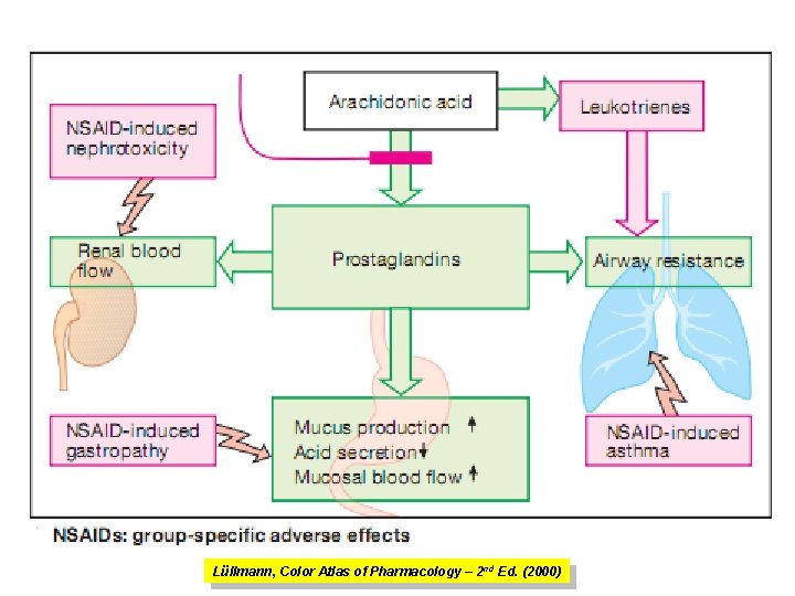 Lüllmann, Color Atlas of Pharmacology – 2 nd Ed. (2000) 