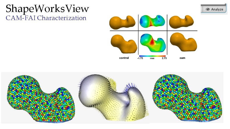 Shape. Works. View CAM-FAI Characterization 