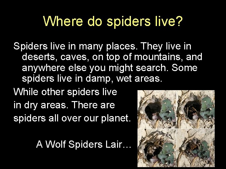 Where do spiders live? Spiders live in many places. They live in deserts, caves,