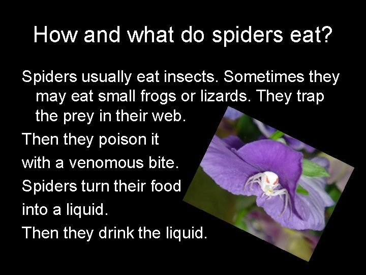 How and what do spiders eat? Spiders usually eat insects. Sometimes they may eat