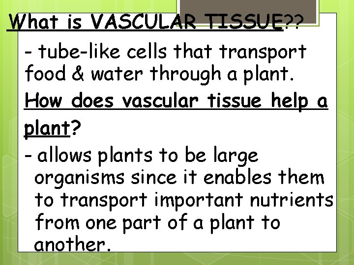 What is VASCULAR TISSUE? ? - tube-like cells that transport food & water through