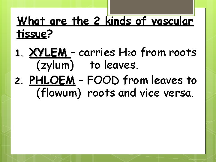 What are the 2 kinds of vascular tissue? 1. 2. XYLEM – carries H