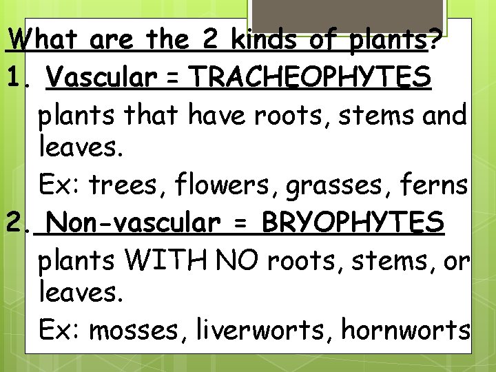 What are the 2 kinds of plants? 1. Vascular = TRACHEOPHYTES plants that have