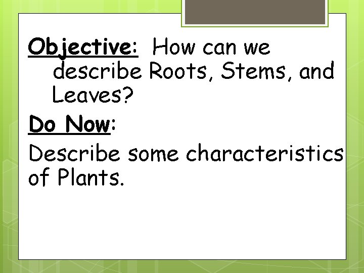 Objective: How can we describe Roots, Stems, and Leaves? Do Now: Describe some characteristics