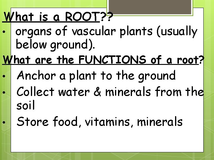 What is a ROOT? ? • organs of vascular plants (usually below ground). What