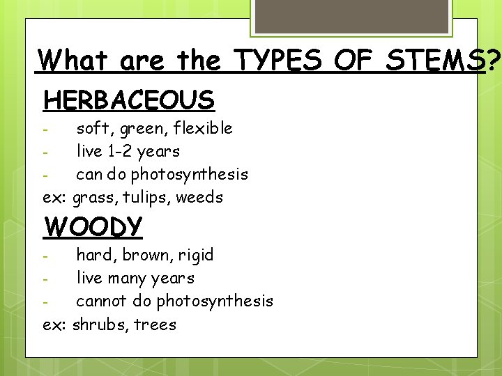 What are the TYPES OF STEMS? HERBACEOUS soft, green, flexible live 1 -2 years