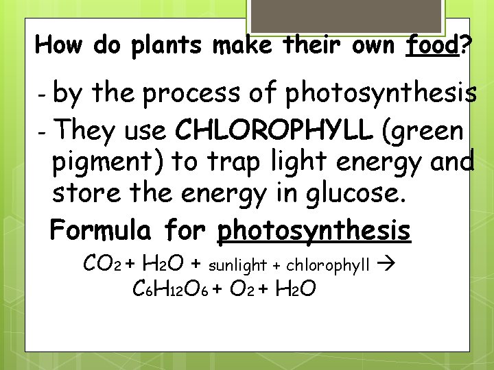 How do plants make their own food? - by the process of photosynthesis -