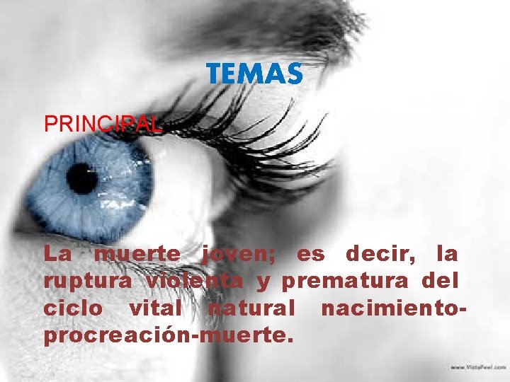 TEMAS PRINCIPAL La muerte joven; es decir, la ruptura violenta y prematura del ciclo TEMAS PRINCIPAL La muerte joven; es decir, la ruptura violenta y prematura del ciclo
