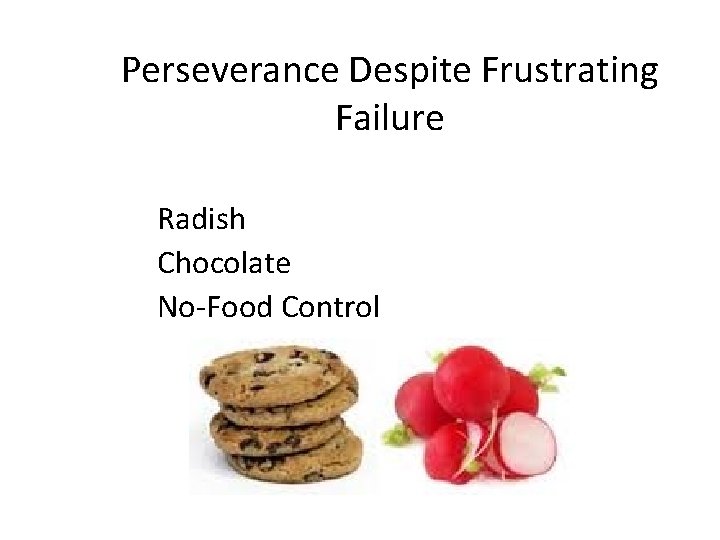Perseverance Despite Frustrating Failure Radish Chocolate No-Food Control 