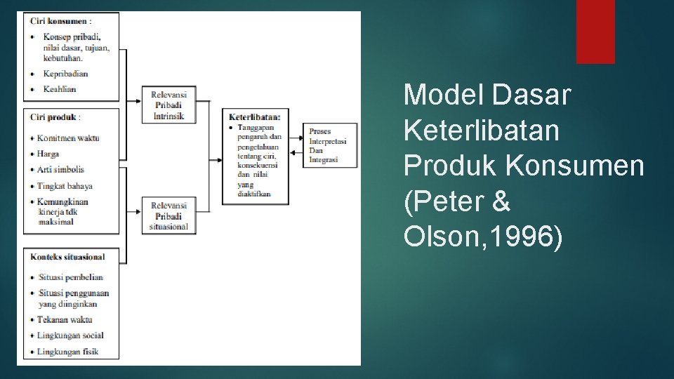 Model Dasar Keterlibatan Produk Konsumen (Peter & Olson, 1996) 