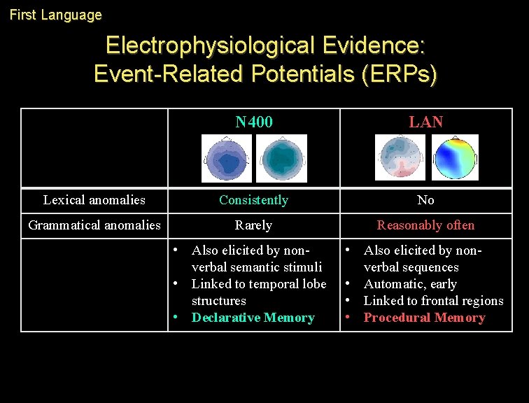 First Language Electrophysiological Evidence: Event-Related Potentials (ERPs) N 400 LAN Lexical anomalies Consistently No