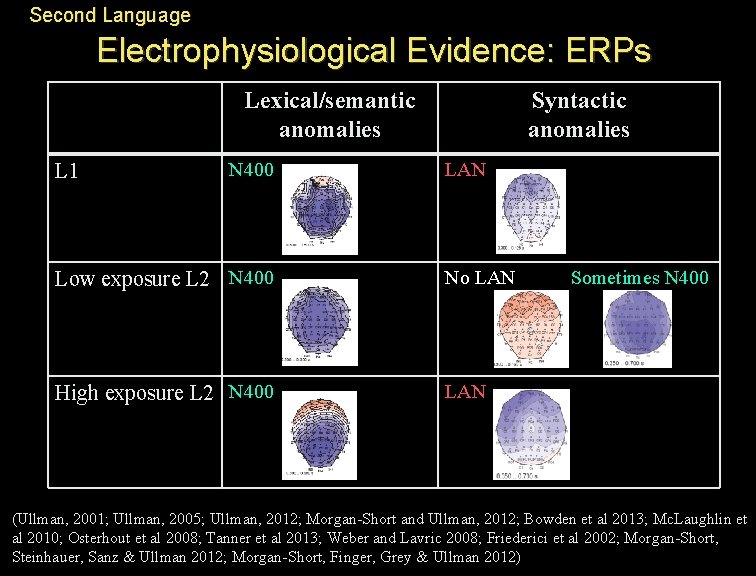 Second Language Electrophysiological Evidence: ERPs Lexical/semantic anomalies L 1 N 400 Syntactic anomalies LAN