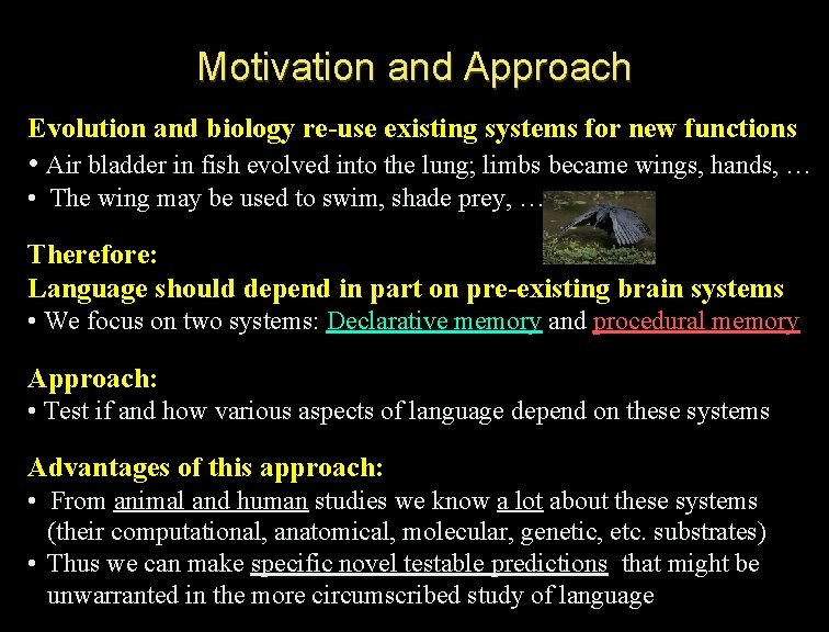 Motivation and Approach Evolution and biology re-use existing systems for new functions • Air