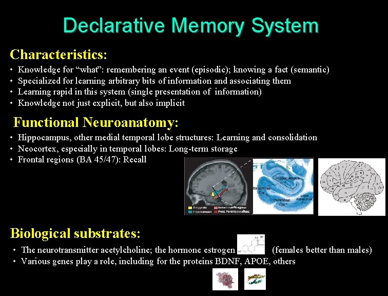 Declarative Memory System Characteristics: • • Knowledge for “what”: remembering an event (episodic); knowing