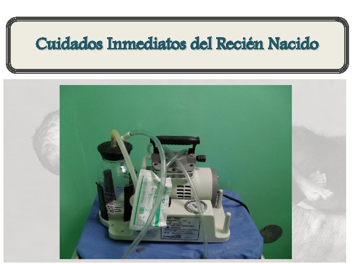 Cuidados Inmediatos del Recién Nacido 