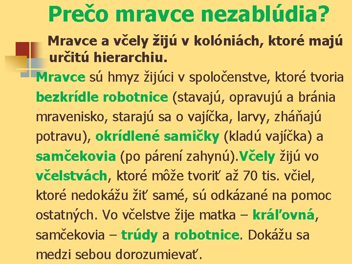 Prečo mravce nezablúdia? Mravce a včely žijú v kolóniách, ktoré majú určitú hierarchiu. Mravce