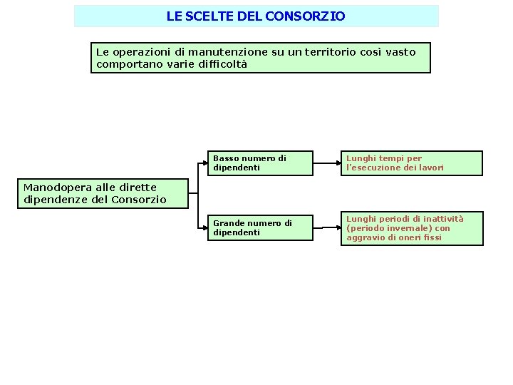 LE SCELTE DEL CONSORZIO Le operazioni di manutenzione su un territorio così vasto comportano